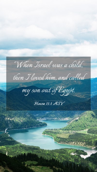 Picture 03 - Hosea 11:1 ASV Mobile Phone Wallpaper - When Israel was a child, then I loved him, and - Mobile Bible Verse Wallpaper
