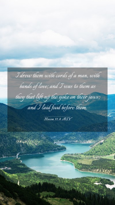 Picture 03 - Hosea 11:4 ASV Mobile Phone Wallpaper - I drew them with cords of a man, with bands of - Mobile Bible Verse Wallpaper