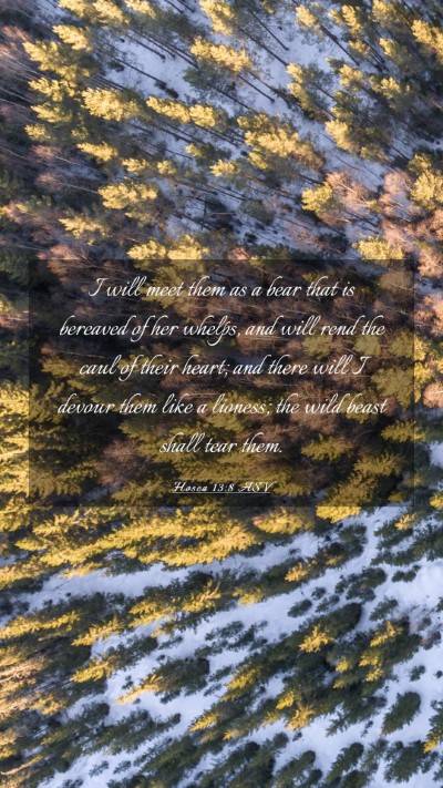 Picture 03 - Hosea 13:8 ASV Mobile Phone Wallpaper - I will meet them as a bear that is bereaved of - Mobile Bible Verse Wallpaper