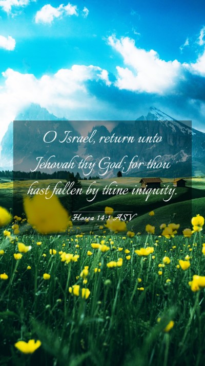 Picture 03 - Hosea 14:1 ASV Mobile Phone Wallpaper - O Israel, return unto Jehovah thy God; for thou - Mobile Bible Verse Wallpaper