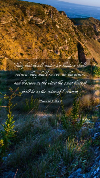 Picture 03 - Hosea 14:7 ASV Mobile Phone Wallpaper - They that dwell under his shadow shall return; - Mobile Bible Verse Wallpaper