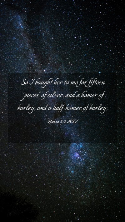 Picture 03 - Hosea 3:2 ASV Mobile Phone Wallpaper - So I bought her to me for fifteen `pieces' of - Mobile Bible Verse Wallpaper