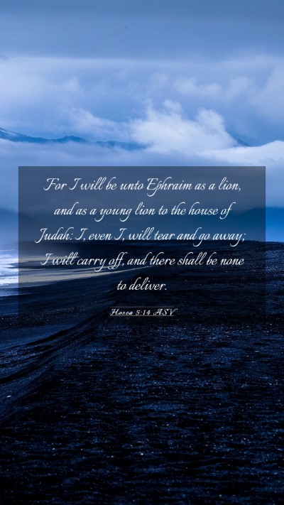 Picture 03 - Hosea 5:14 ASV Mobile Phone Wallpaper - For I will be unto Ephraim as a lion, and as a - Mobile Bible Verse Wallpaper