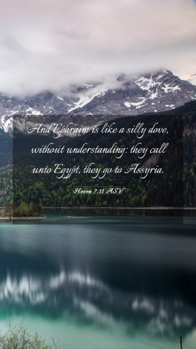 Picture 03 - Hosea 7:11 ASV Mobile Phone Wallpaper - And Ephraim is like a silly dove, without - Mobile Bible Verse Wallpaper