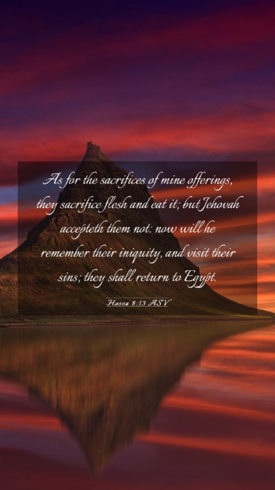 Picture 03 - Hosea 8:13 ASV Mobile Phone Wallpaper - As for the sacrifices of mine offerings, they - Mobile Bible Verse Wallpaper