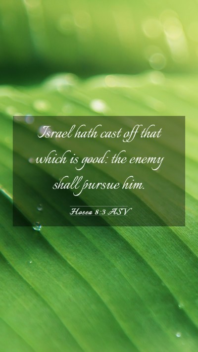 Picture 03 - Hosea 8:3 ASV Mobile Phone Wallpaper - Israel hath cast off that which is good: the - Mobile Bible Verse Wallpaper