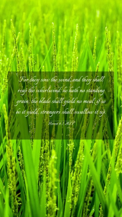 Picture 03 - Hosea 8:7 ASV Mobile Phone Wallpaper - For they sow the wind, and they shall reap the - Mobile Bible Verse Wallpaper
