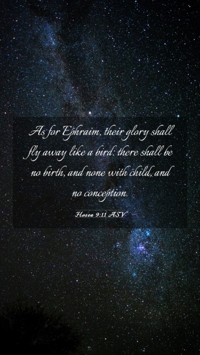 Picture 03 - Hosea 9:11 ASV Mobile Phone Wallpaper - As for Ephraim, their glory shall fly away like a - Mobile Bible Verse Wallpaper