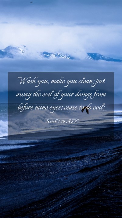 Picture 03 - Isaiah 1:16 ASV Mobile Phone Wallpaper - Wash you, make you clean; put away the evil of - Mobile Bible Verse Wallpaper