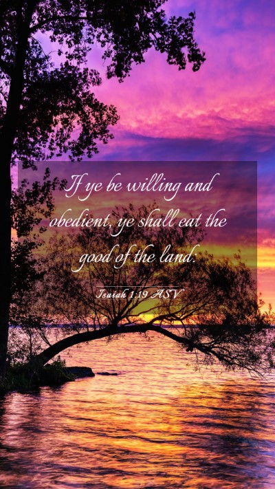 Picture 03 - Isaiah 1:19 ASV Mobile Phone Wallpaper - If ye be willing and obedient, ye shall eat the - Mobile Bible Verse Wallpaper