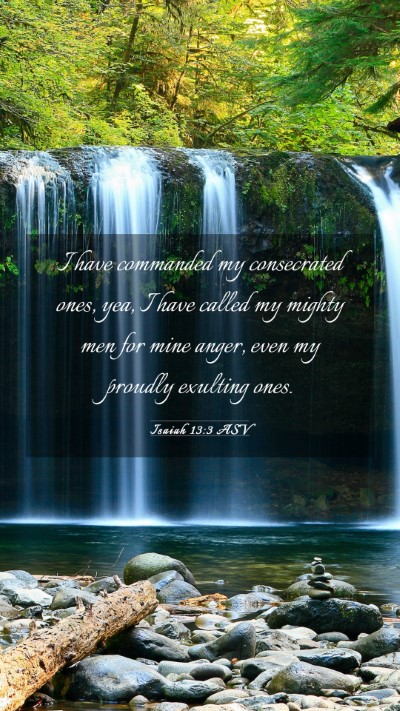 Picture 03 - Isaiah 13:3 ASV Mobile Phone Wallpaper - I have commanded my consecrated ones, yea, I have - Mobile Bible Verse Wallpaper