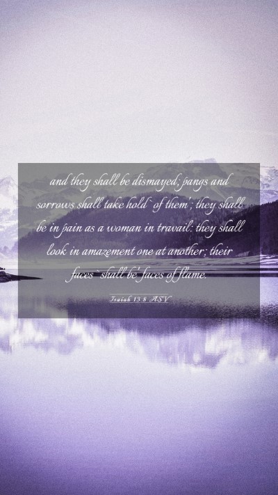 Picture 03 - Isaiah 13:8 ASV Mobile Phone Wallpaper - and they shall be dismayed; pangs and sorrows - Mobile Bible Verse Wallpaper