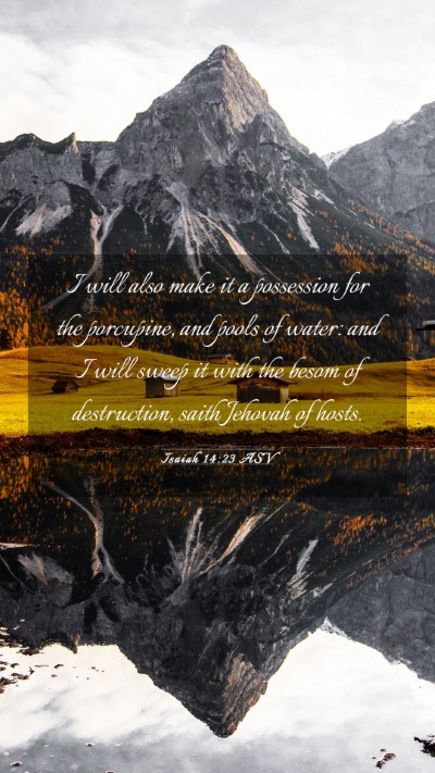 Picture 03 - Isaiah 14:23 ASV Mobile Phone Wallpaper - I will also make it a possession for the - Mobile Bible Verse Wallpaper