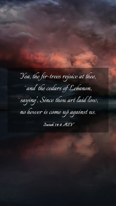 Picture 03 - Isaiah 14:8 ASV Mobile Phone Wallpaper - Yea, the fir-trees rejoice at thee, `and' the - Mobile Bible Verse Wallpaper