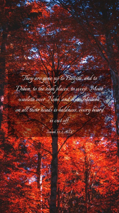 Picture 03 - Isaiah 15:2 ASV Mobile Phone Wallpaper - They are gone up to Bayith, and to Dibon, to the - Mobile Bible Verse Wallpaper