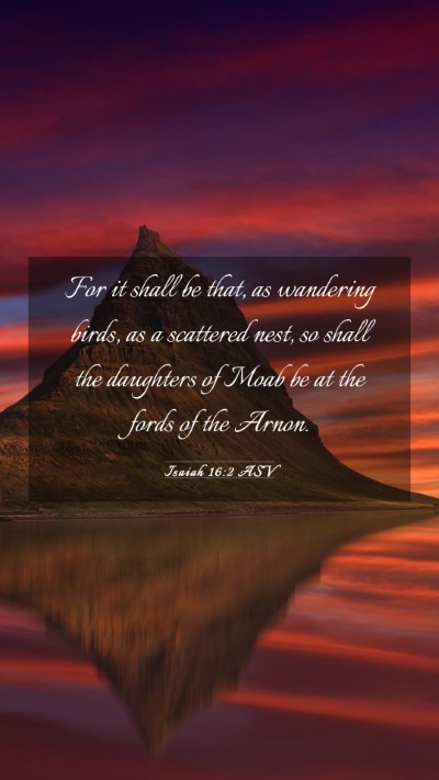 Picture 03 - Isaiah 16:2 ASV Mobile Phone Wallpaper - For it shall be that, as wandering birds, as a - Mobile Bible Verse Wallpaper