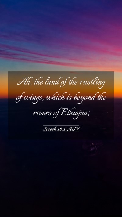 Picture 03 - Isaiah 18:1 ASV Mobile Phone Wallpaper - Ah, the land of the rustling of wings, which is - Mobile Bible Verse Wallpaper