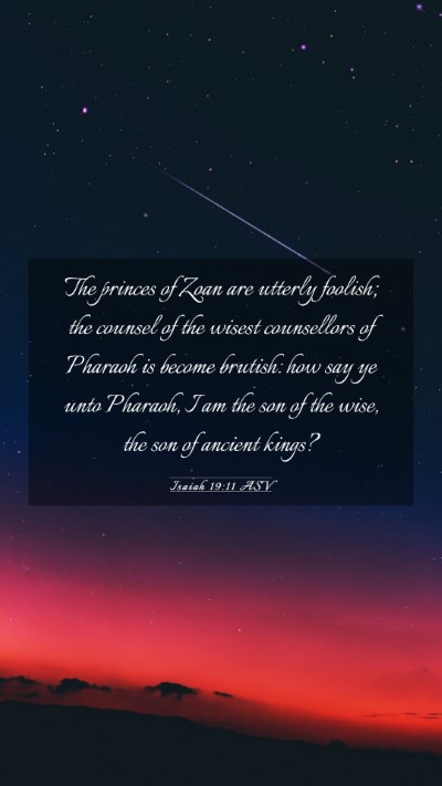 Picture 03 - Isaiah 19:11 ASV Mobile Phone Wallpaper - The princes of Zoan are utterly foolish; the - Mobile Bible Verse Wallpaper