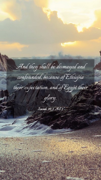 Picture 03 - Isaiah 20:5 ASV Mobile Phone Wallpaper - And they shall be dismayed and confounded, - Mobile Bible Verse Wallpaper