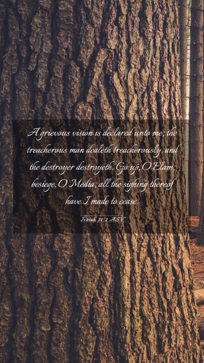 Picture 03 - Isaiah 21:2 ASV Mobile Phone Wallpaper - A grievous vision is declared unto me; the - Mobile Bible Verse Wallpaper