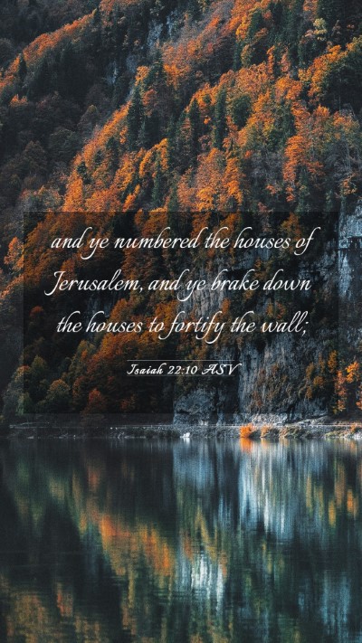 Picture 03 - Isaiah 22:10 ASV Mobile Phone Wallpaper - and ye numbered the houses of Jerusalem, and ye - Mobile Bible Verse Wallpaper