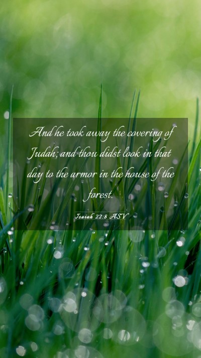 Picture 03 - Isaiah 22:8 ASV Mobile Phone Wallpaper - And he took away the covering of Judah; and thou - Mobile Bible Verse Wallpaper