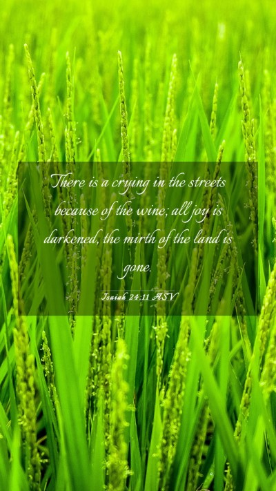 Picture 03 - Isaiah 24:11 ASV Mobile Phone Wallpaper - There is a crying in the streets because of the - Mobile Bible Verse Wallpaper