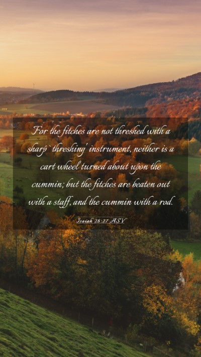 Picture 03 - Isaiah 28:27 ASV Mobile Phone Wallpaper - For the fitches are not threshed with a sharp - Mobile Bible Verse Wallpaper