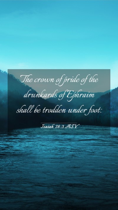 Picture 03 - Isaiah 28:3 ASV Mobile Phone Wallpaper - The crown of pride of the drunkards of Ephraim - Mobile Bible Verse Wallpaper