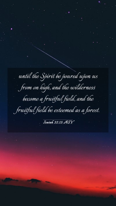 Picture 03 - Isaiah 32:15 ASV Mobile Phone Wallpaper - until the Spirit be poured upon us from on high, - Mobile Bible Verse Wallpaper