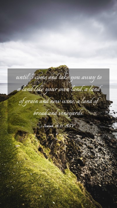 Picture 03 - Isaiah 36:17 ASV Mobile Phone Wallpaper - until I come and take you away to a land like - Mobile Bible Verse Wallpaper