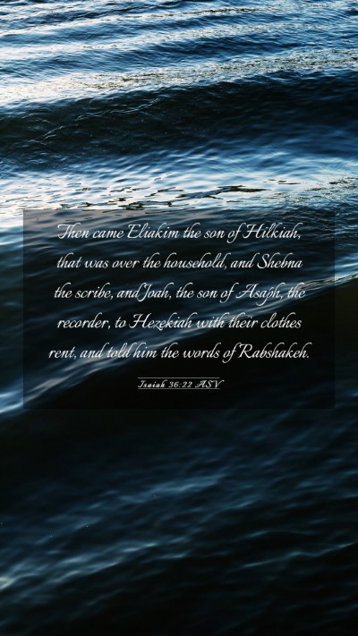 Picture 03 - Isaiah 36:22 ASV Mobile Phone Wallpaper - Then came Eliakim the son of Hilkiah, that was - Mobile Bible Verse Wallpaper