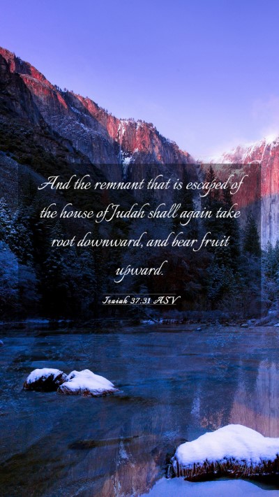 Picture 03 - Isaiah 37:31 ASV Mobile Phone Wallpaper - And the remnant that is escaped of the house of - Mobile Bible Verse Wallpaper