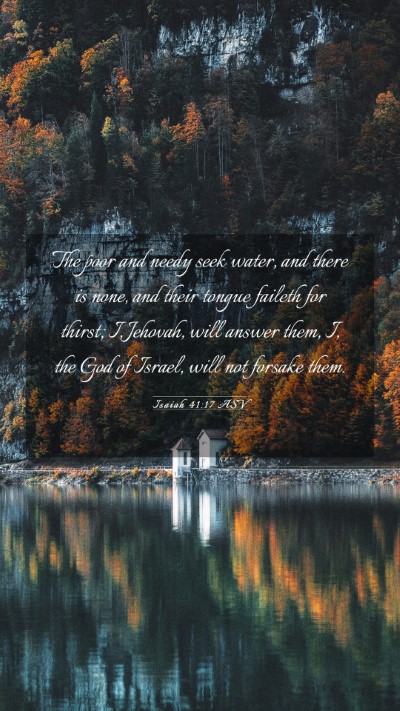 Picture 03 - Isaiah 41:17 ASV Mobile Phone Wallpaper - The poor and needy seek water, and there is none, - Mobile Bible Verse Wallpaper