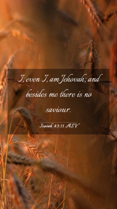 Picture 03 - Isaiah 43:11 ASV Mobile Phone Wallpaper - I, even I, am Jehovah; and besides me there is no - Mobile Bible Verse Wallpaper