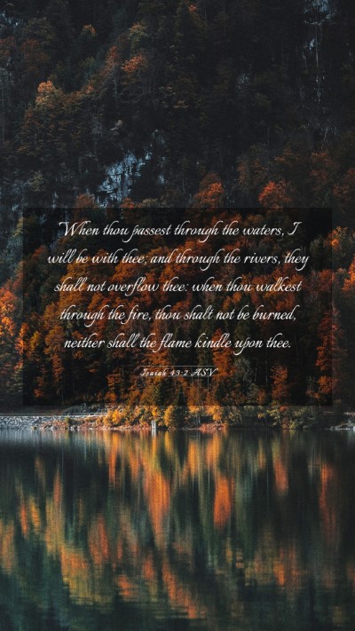 Picture 03 - Isaiah 43:2 ASV Mobile Phone Wallpaper - When thou passest through the waters, I will be - Mobile Bible Verse Wallpaper