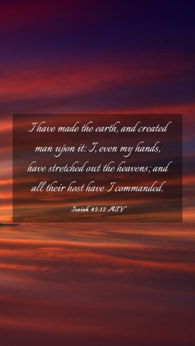 Picture 03 - Isaiah 45:12 ASV Mobile Phone Wallpaper - I have made the earth, and created man upon it: - Mobile Bible Verse Wallpaper