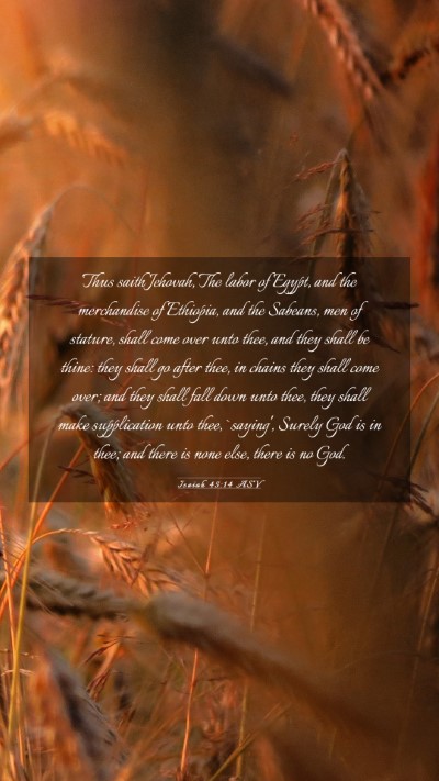 Picture 03 - Isaiah 45:14 ASV Mobile Phone Wallpaper - Thus saith Jehovah, The labor of Egypt, and the - Mobile Bible Verse Wallpaper