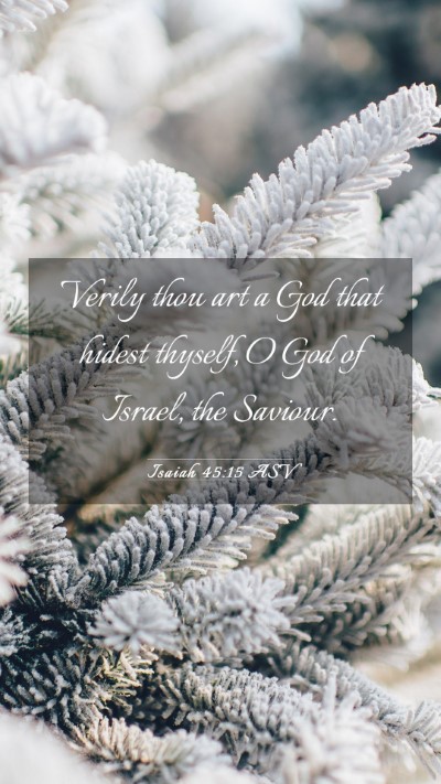 Picture 03 - Isaiah 45:15 ASV Mobile Phone Wallpaper - Verily thou art a God that hidest thyself, O God - Mobile Bible Verse Wallpaper