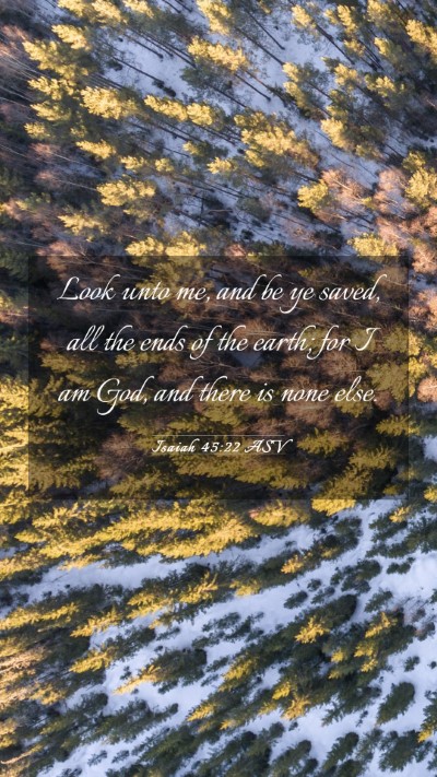 Picture 03 - Isaiah 45:22 ASV Mobile Phone Wallpaper - Look unto me, and be ye saved, all the ends of - Mobile Bible Verse Wallpaper