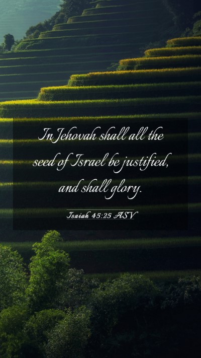 Picture 03 - Isaiah 45:25 ASV Mobile Phone Wallpaper - In Jehovah shall all the seed of Israel be - Mobile Bible Verse Wallpaper