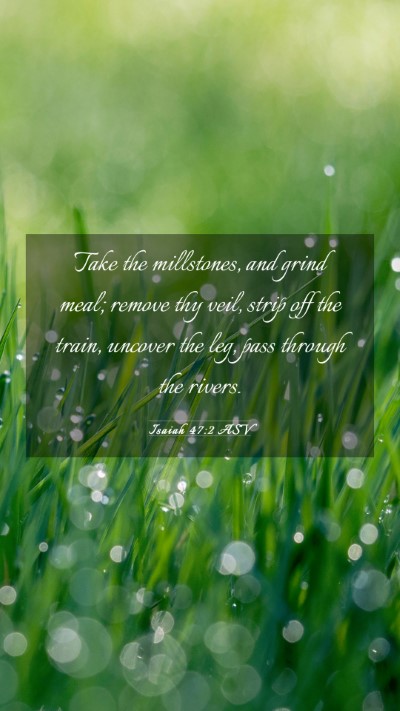 Picture 03 - Isaiah 47:2 ASV Mobile Phone Wallpaper - Take the millstones, and grind meal; remove thy - Mobile Bible Verse Wallpaper