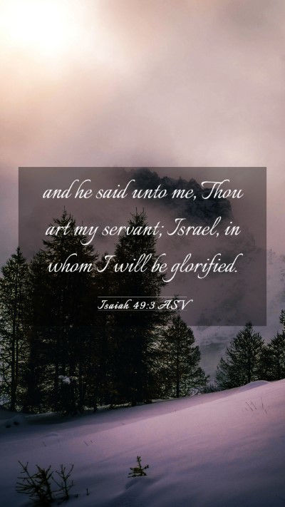 Picture 03 - Isaiah 49:3 ASV Mobile Phone Wallpaper - and he said unto me, Thou art my servant; Israel, - Mobile Bible Verse Wallpaper