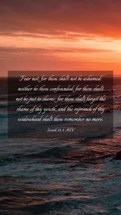 Picture 03 - Isaiah 54:4 ASV Mobile Phone Wallpaper - Fear not; for thou shalt not be ashamed: neither - Mobile Bible Verse Wallpaper
