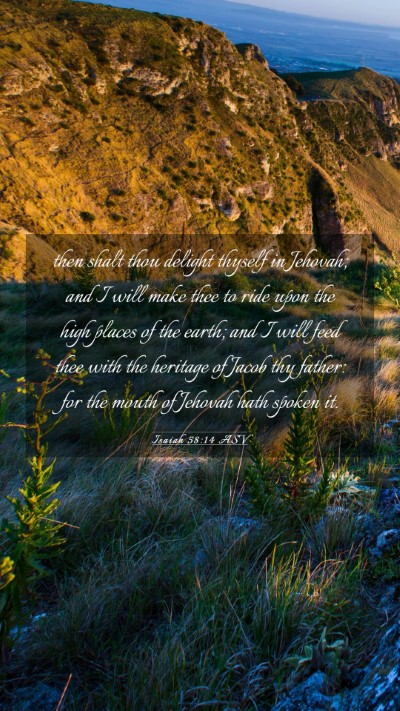 Picture 03 - Isaiah 58:14 ASV Mobile Phone Wallpaper - then shalt thou delight thyself in Jehovah; and I - Mobile Bible Verse Wallpaper
