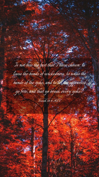 Picture 03 - Isaiah 58:6 ASV Mobile Phone Wallpaper - Is not this the fast that I have chosen: to loose - Mobile Bible Verse Wallpaper