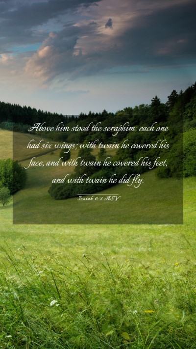 Picture 03 - Isaiah 6:2 ASV Mobile Phone Wallpaper - Above him stood the seraphim: each one had six - Mobile Bible Verse Wallpaper