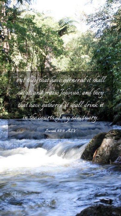 Picture 03 - Isaiah 62:9 ASV Mobile Phone Wallpaper - but they that have garnered it shall eat it, and - Mobile Bible Verse Wallpaper
