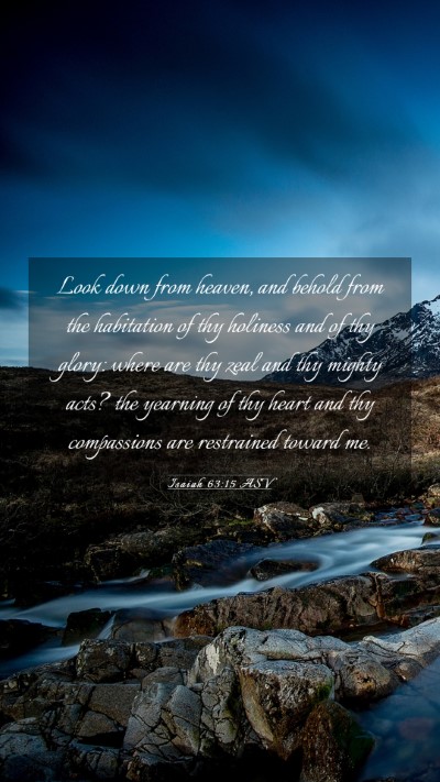 Picture 03 - Isaiah 63:15 ASV Mobile Phone Wallpaper - Look down from heaven, and behold from the - Mobile Bible Verse Wallpaper