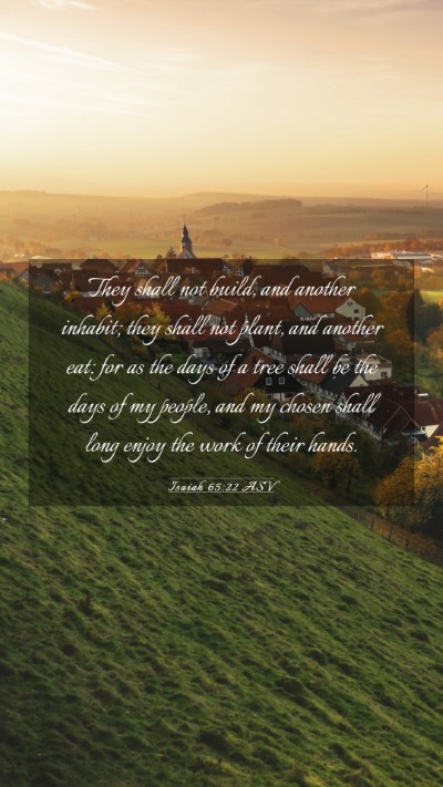 Picture 03 - Isaiah 65:22 ASV Mobile Phone Wallpaper - They shall not build, and another inhabit; they - Mobile Bible Verse Wallpaper